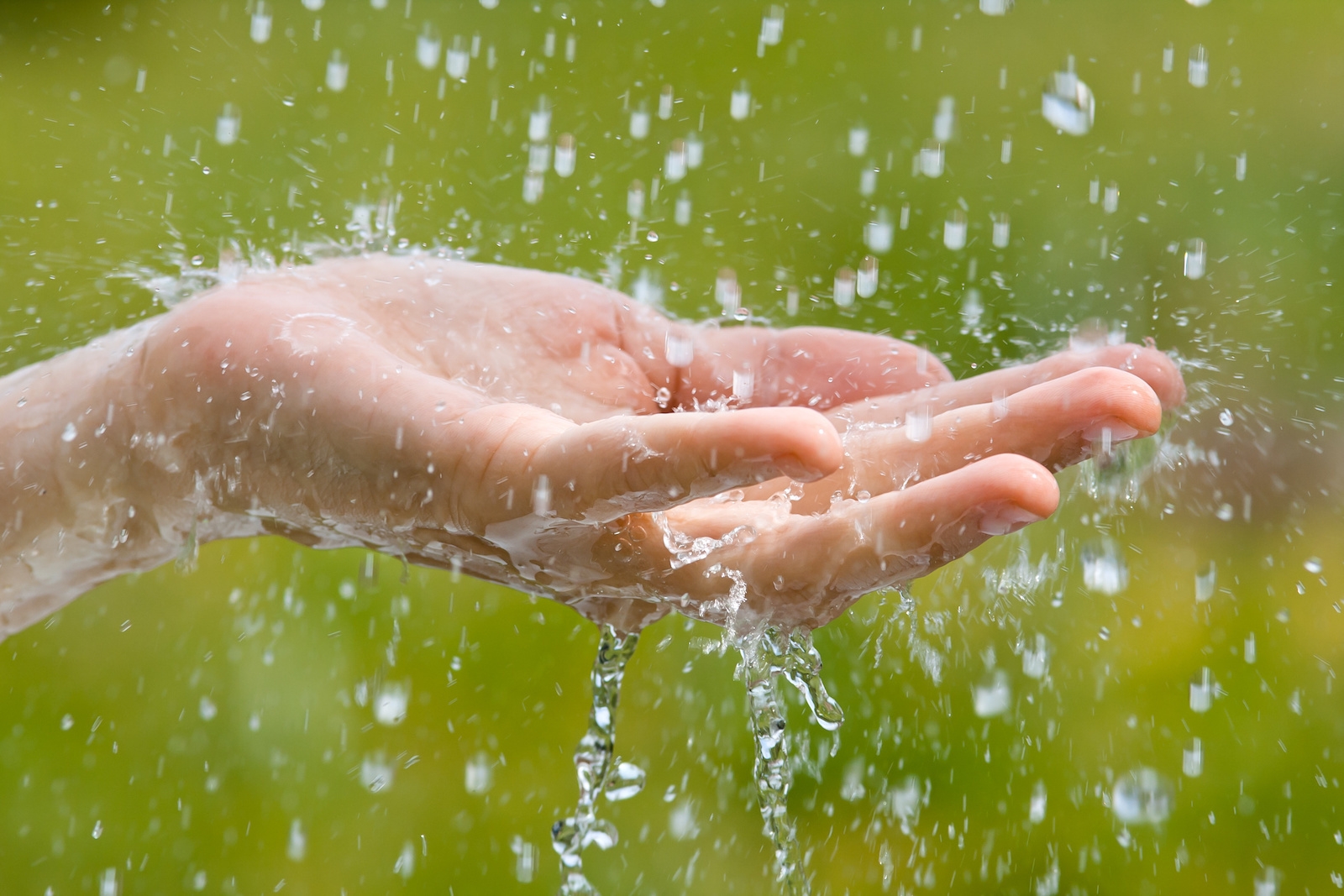 Is rain the cleanest water?